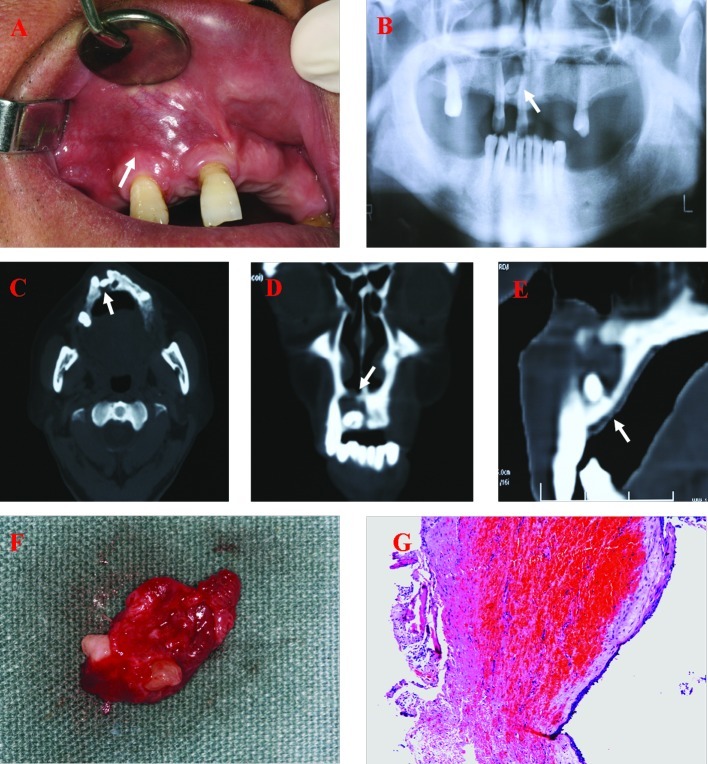 Figure 3.