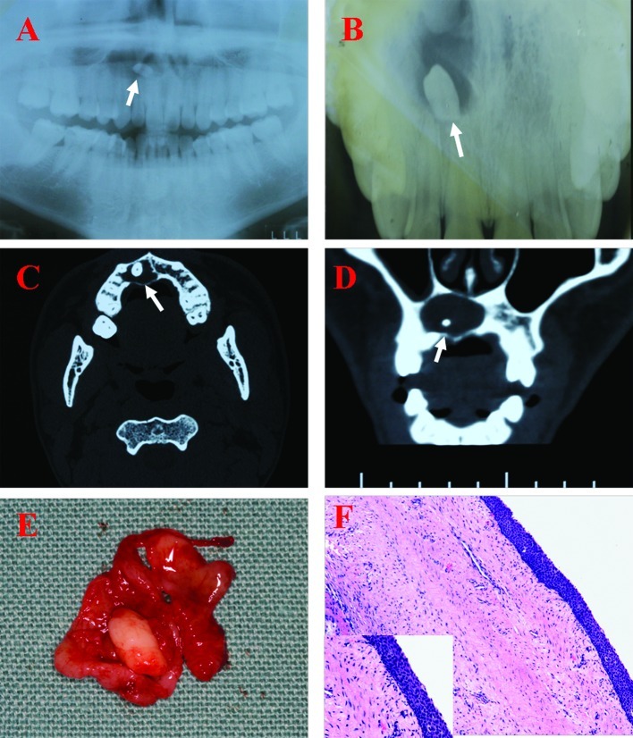 Figure 2.