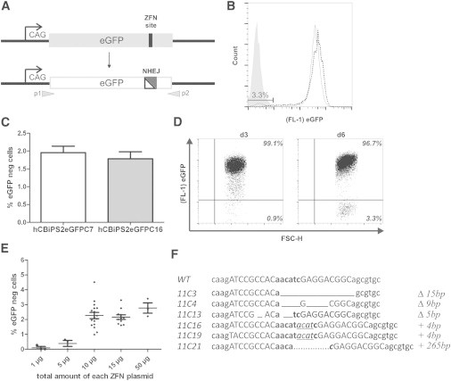 Figure 1