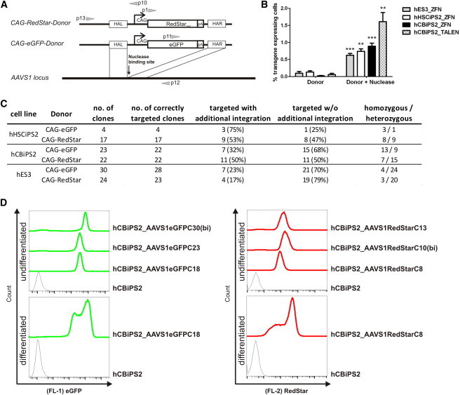 Figure 3