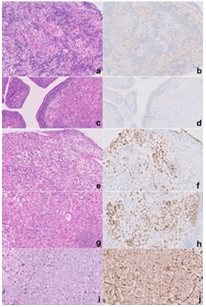 Figure-4.