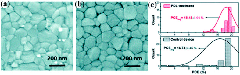 Fig. 31