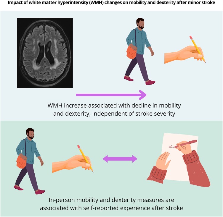 Graphical abstract