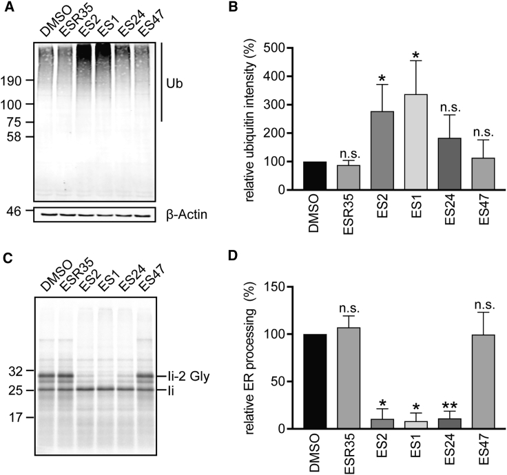 Figure 4