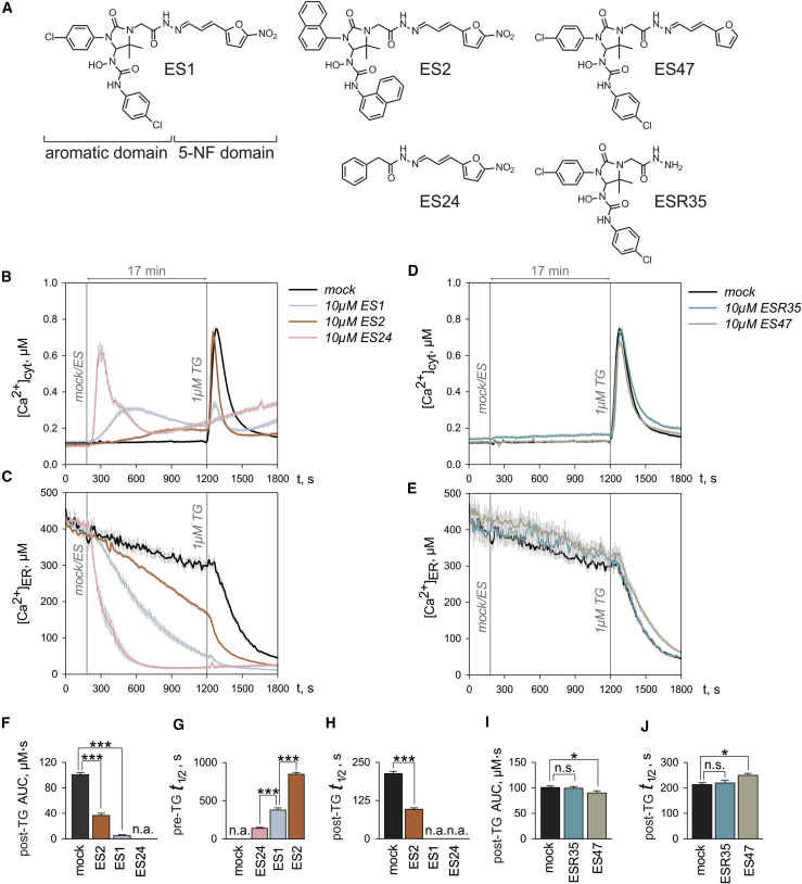 Figure 2