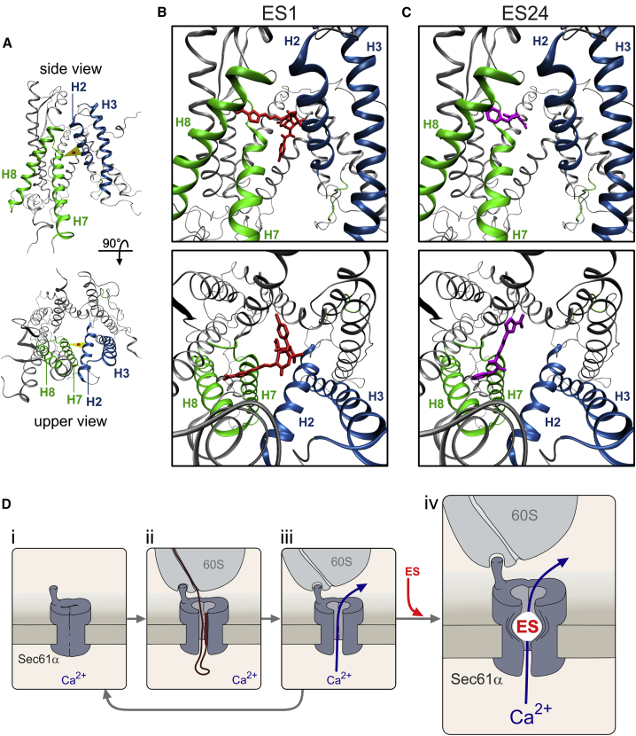 Figure 6