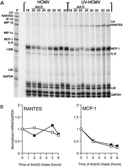 FIG. 5