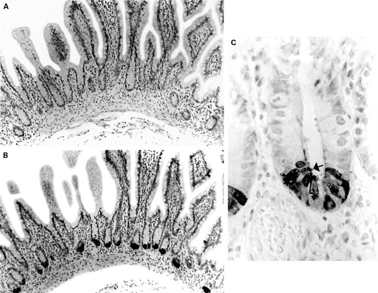 Figure 2  