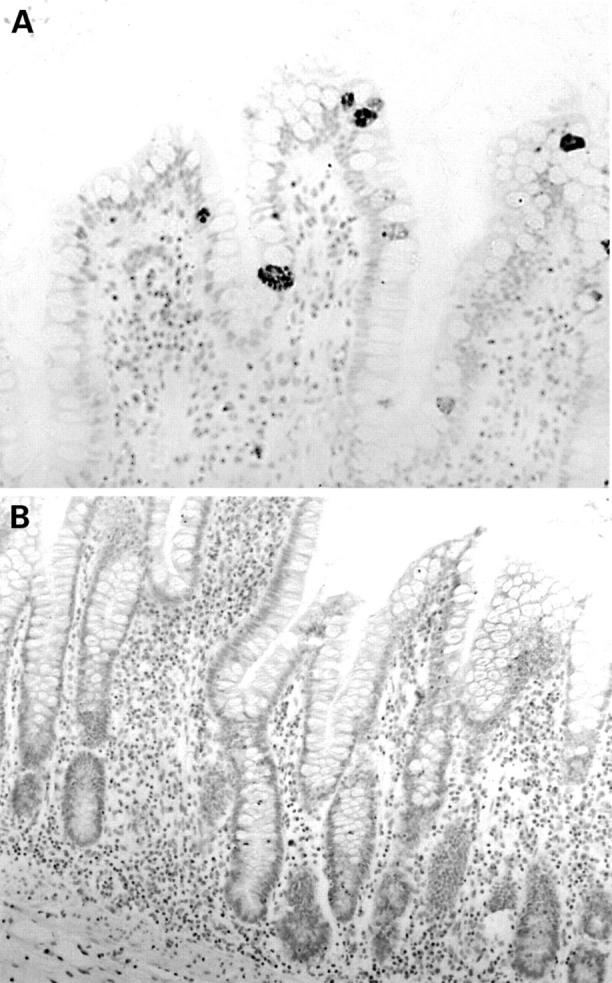 Figure 3  