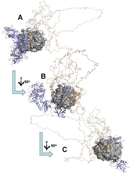 Figure 11