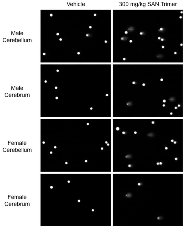 Fig.1