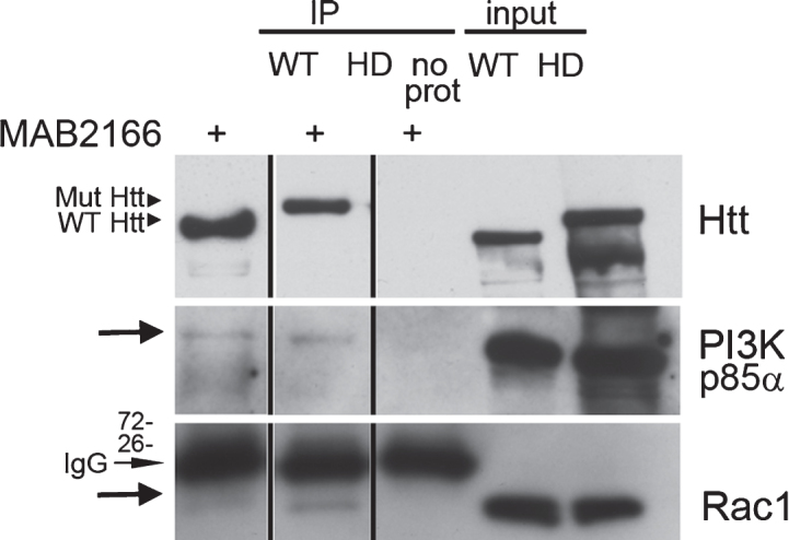 Fig.4