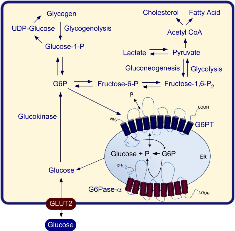 Fig. 4