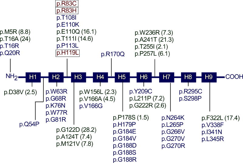 Fig. 3