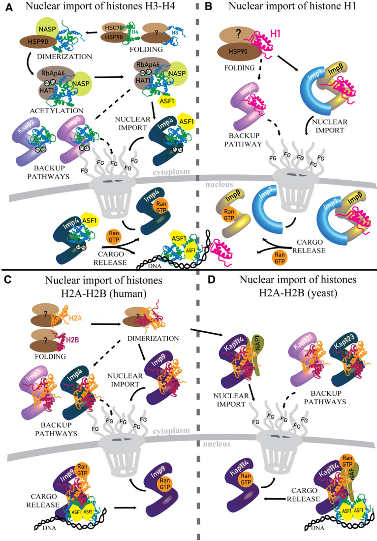 Figure 2.