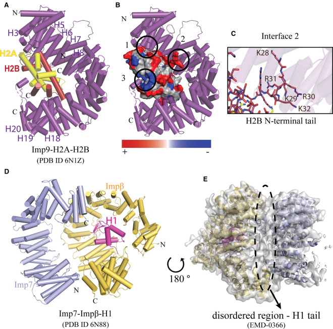 Figure 4.