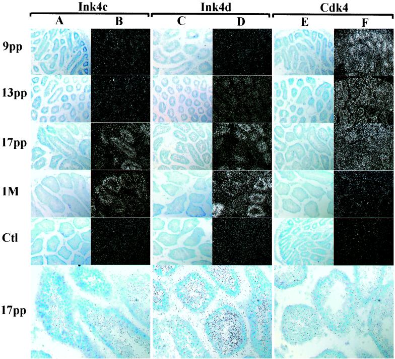 FIG. 6