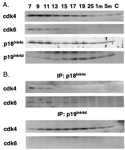 FIG. 5