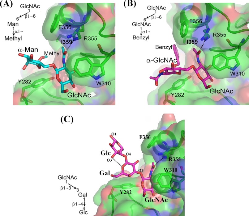 FIGURE 4.