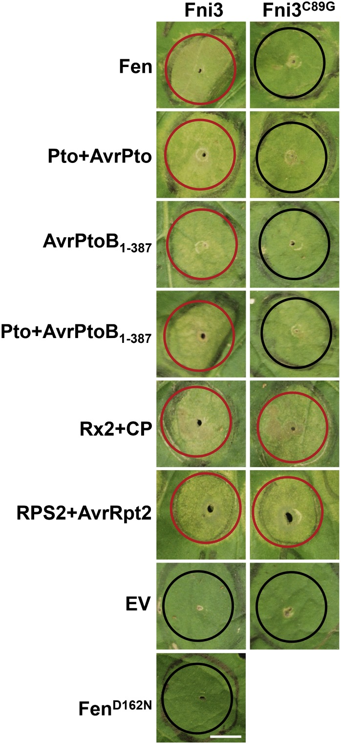 Figure 7.