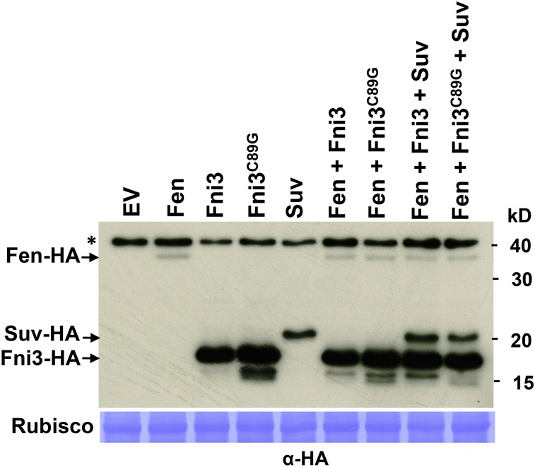 Figure 9.