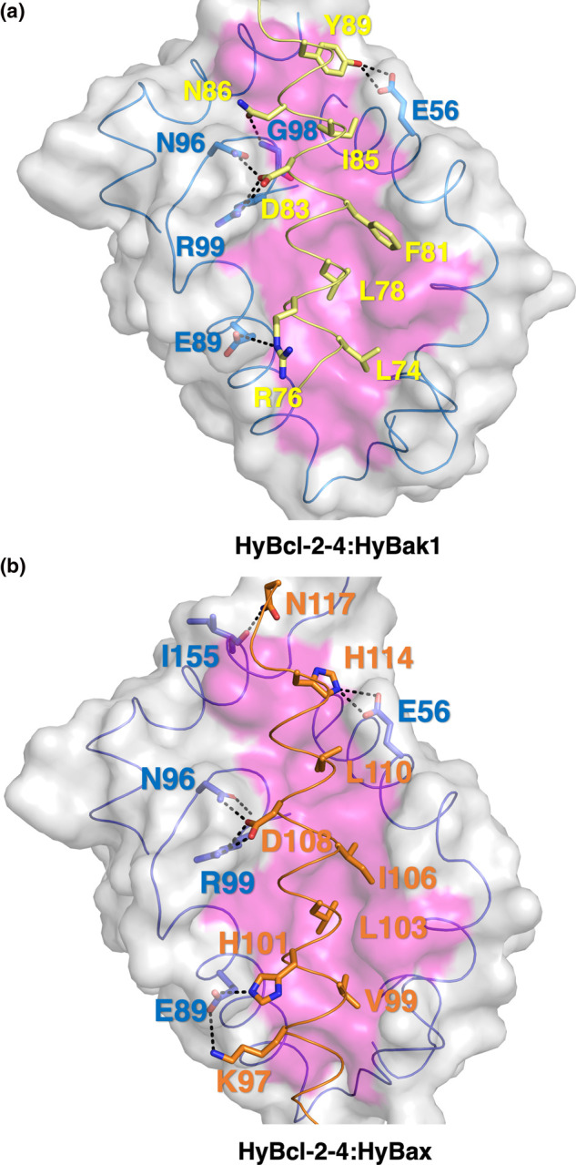 Figure 4.