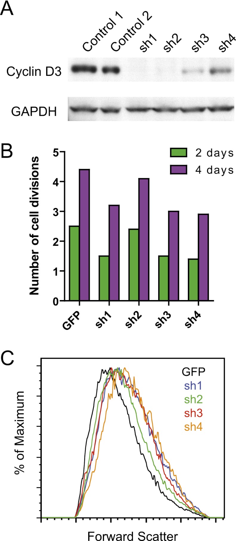 Figure 5.