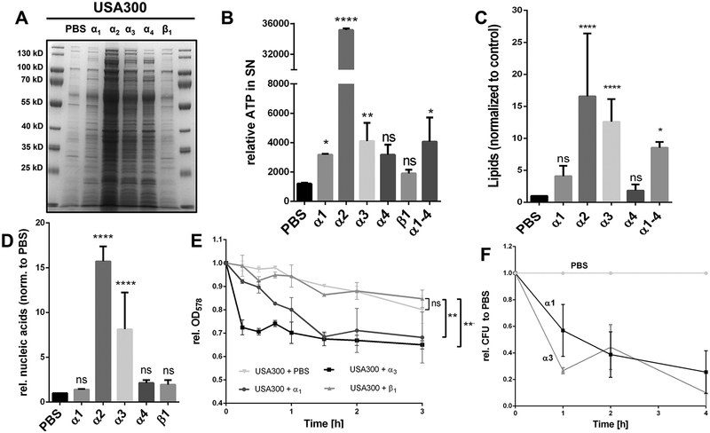 Figure 4: