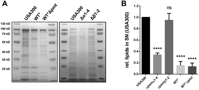 Figure 3: