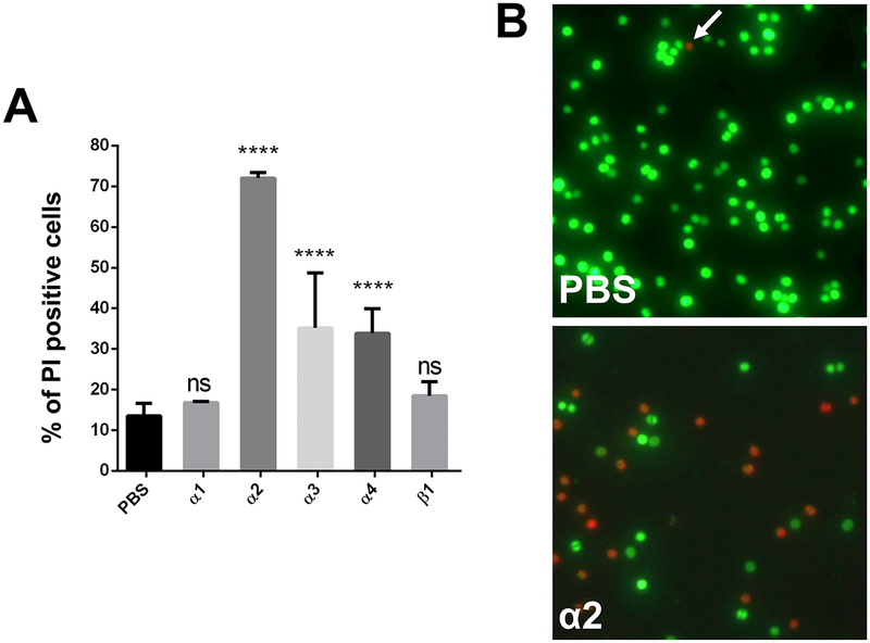 Figure 5: