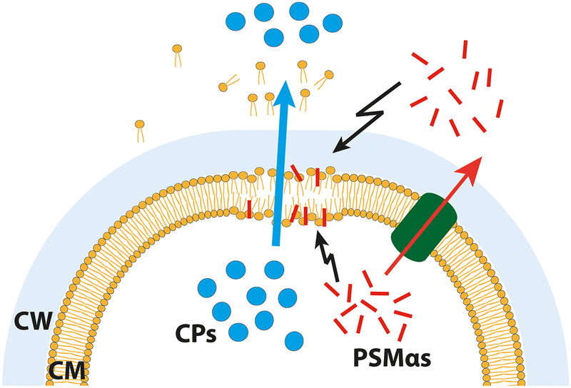 Figure 5: