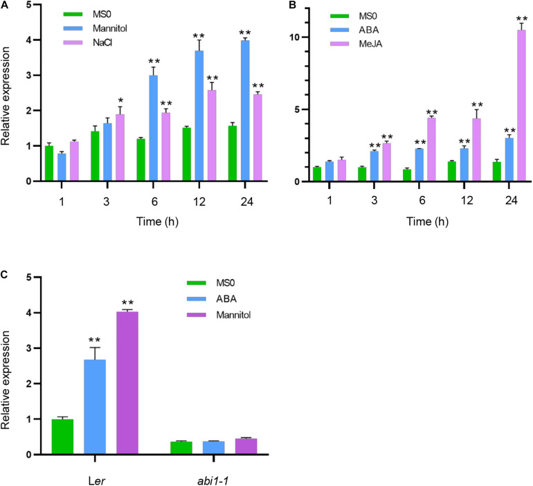 FIGURE 1