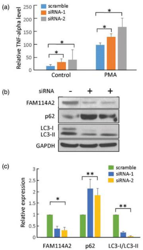 Figure 2: