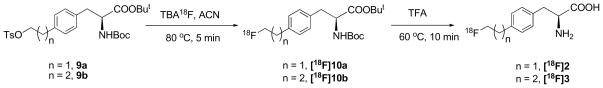 Scheme 2