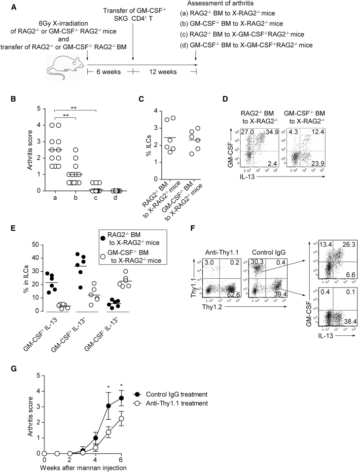 Figure 5