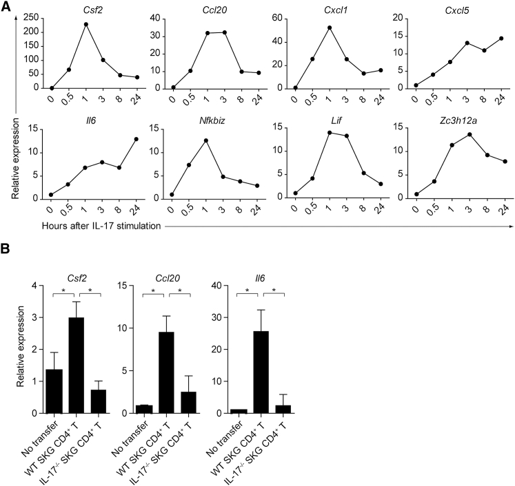 Figure 3