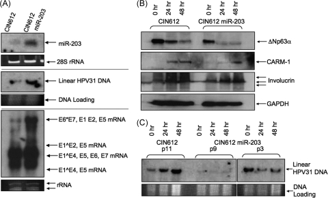 FIG. 5.