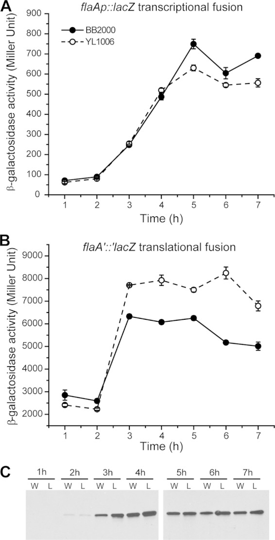 FIG 4