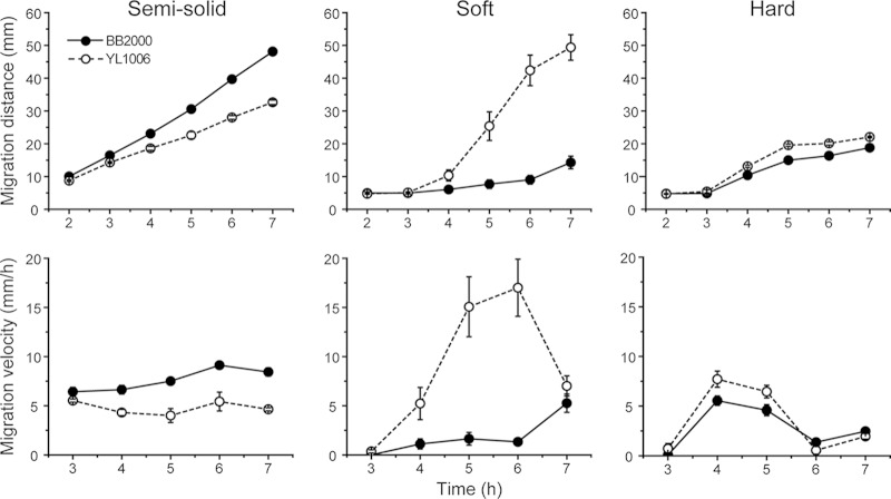 FIG 2