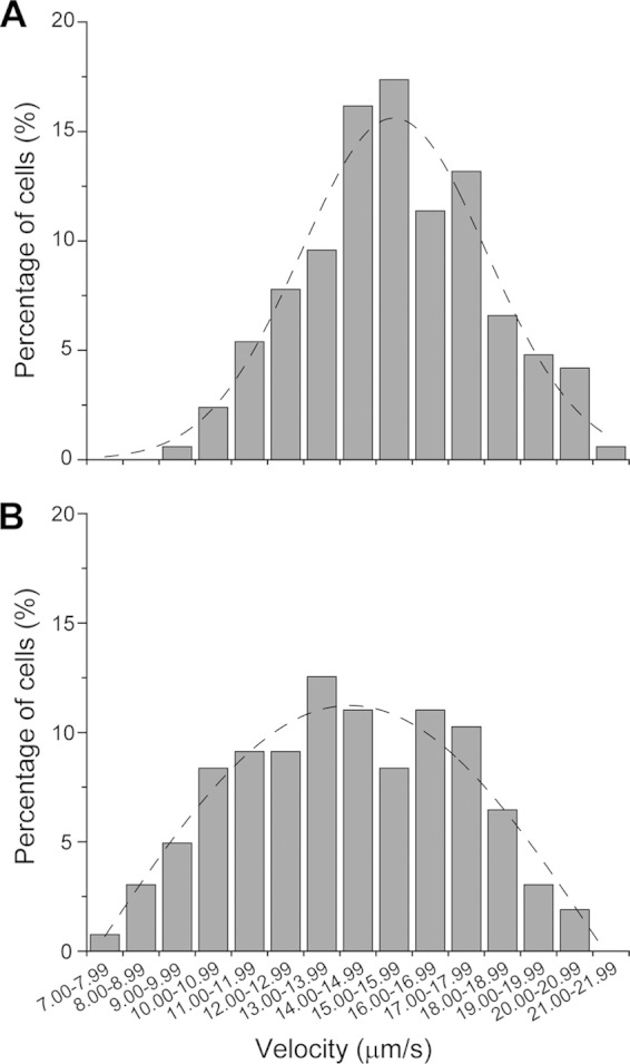 FIG 3