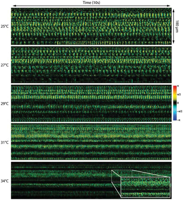 Figure 5: