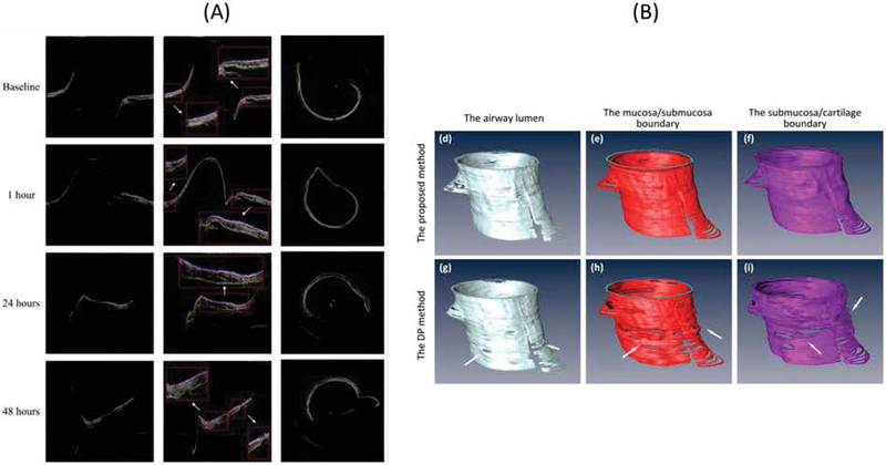 Figure 4: