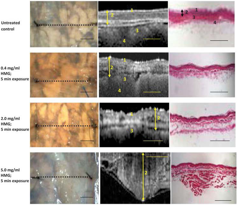 Figure 2: