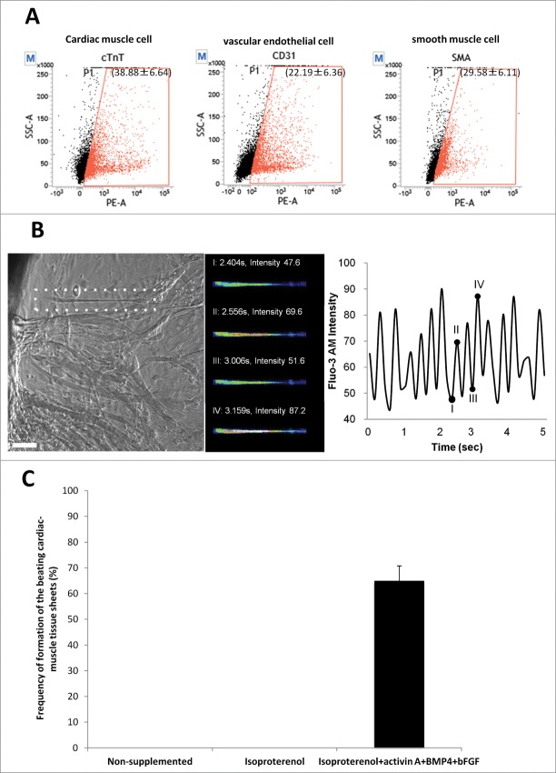 Figure 4.