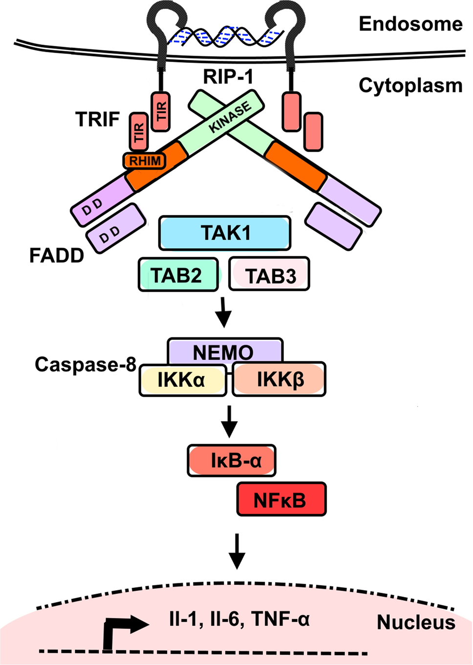 Fig. 2