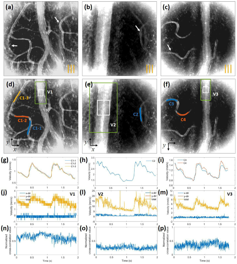 Fig. 9.