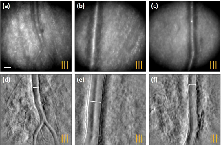 Fig. 8.