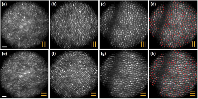 Fig. 6.