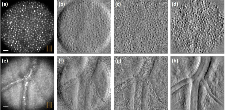 Fig. 3.