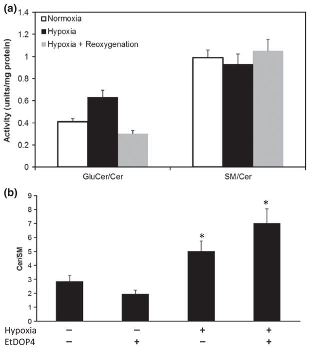 Multiple Sphingolipid Abnormalities Following Cerebral Microendothelial Hypoxia Pmc